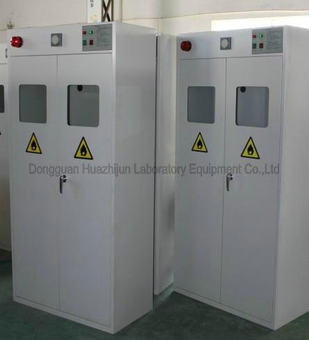 Lab Gas Cabinet Company | Lab Gas Cabinet Supplier | Lab Gas Cabinet Price