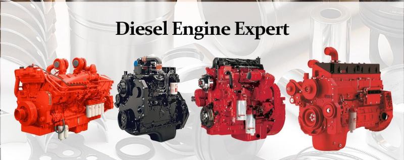 Marine Six Cylinder Diesel Engine Assembly Euro 4 QSL10 375HP