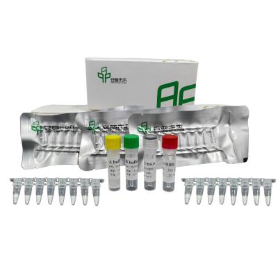 Neisseria Gonorrhoeae Kit de detecção de bactérias por fluorescência isotérmica com 5-20 minutos