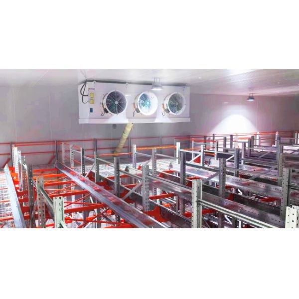Radio Shuttle Cart and Shuttle Racking ASRS Automatic Storage and Retrieval System