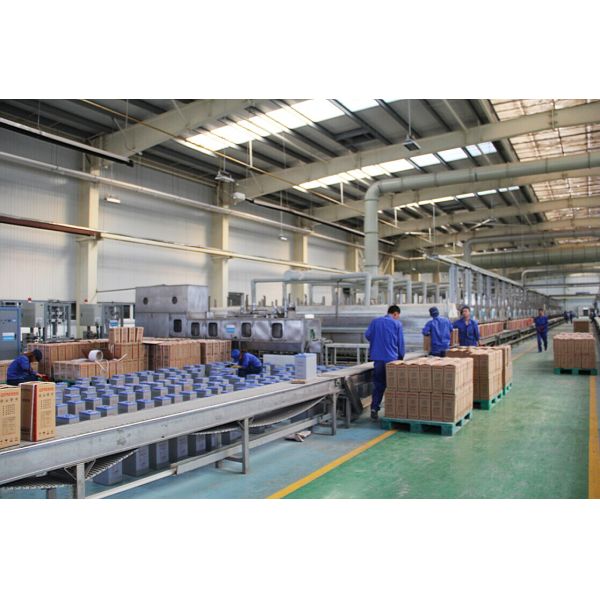 Батарея домашнего цикла Agm свинцовокислотной батареи 12v 200ah Vrla глубокого свинцовокислотная