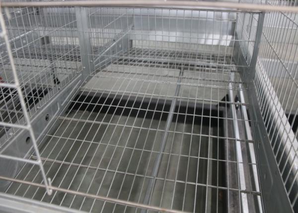 Poultry Battery Chicken Battery Cages 15-20 Years Lifespan For Farms