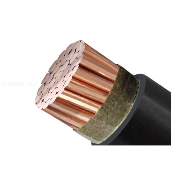 La basse tension XLPE a isolé le conducteur de cuivre engainé par PVC de câble de preuve de feu