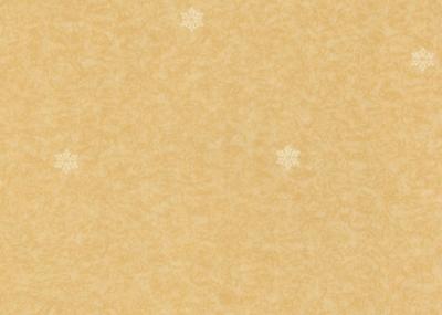 25m Per Roll PVC Vinyl Flooring Rolls