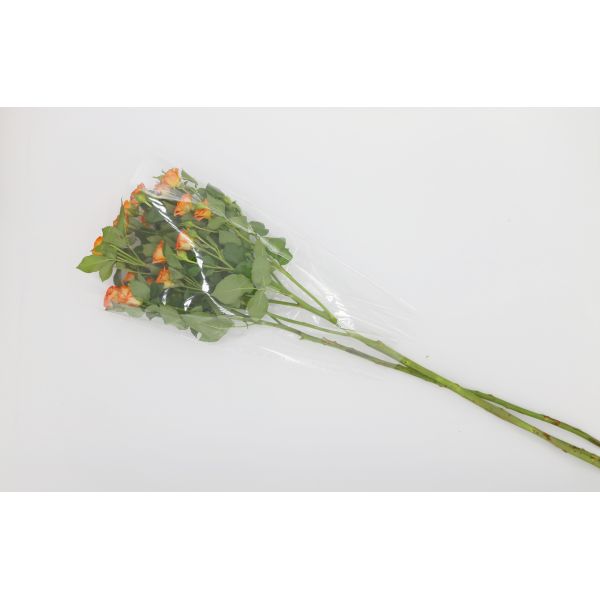 Сумка прозрачной пластмассы OPP упаковывая 180 микронов доказательства масла