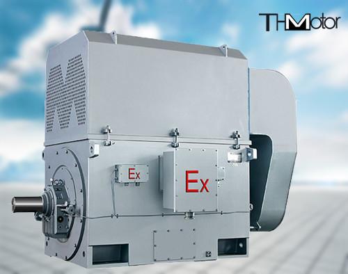 YAKS Explosion Proof​ Flameproof Electric Motor IP44 IP54 IP55