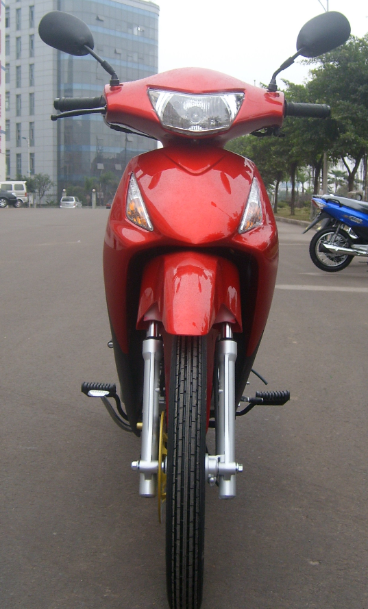 Fabrica directa Brasil importación barata otras motos de cuatro tiempos 110CC 125CC motos de cachorro