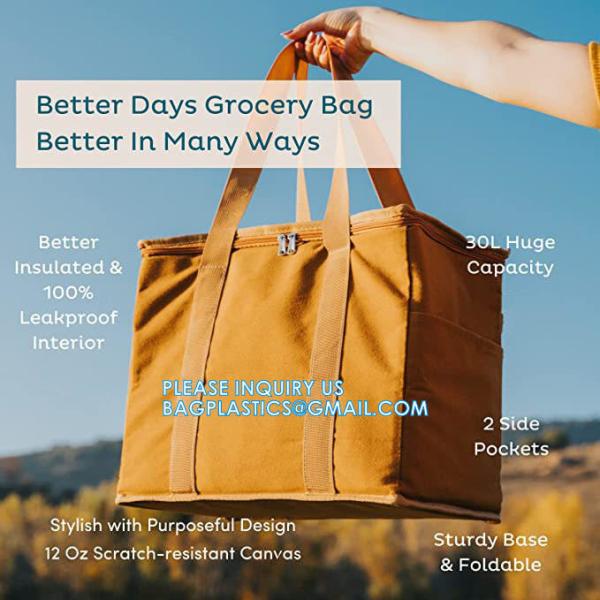 Insulated Food Delivery Bag Cooler Bags, Catering Therma For Doordash Catering Cooler Bags Keep Food Warm