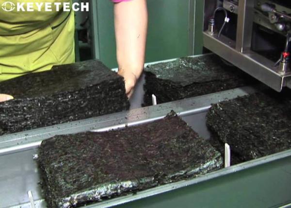 Plastic Rubber Parts Integrity Visual Inspection System with Online Rejection