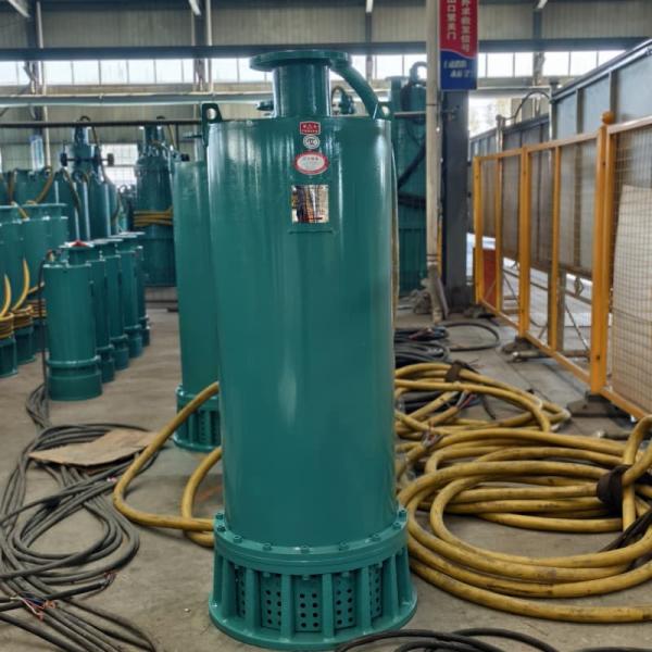 BQS 18.5kW Hydraulic Drainage Submersible Slurry Pumps High Head High Pressure For Mining Industrial Construction Sites