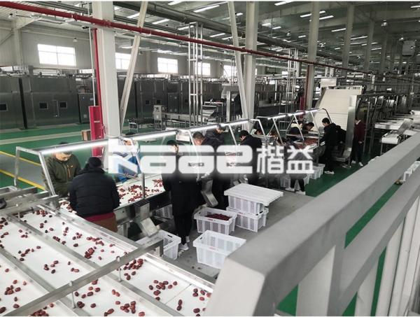 Industrial stainless steel food dehydrated belt dryer/convetor dryer for SAP/Synthetic rubber/Fiber/Nuts and seeds