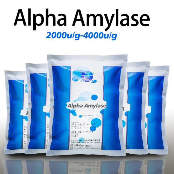 Poudre comme l'enzyme alpha amylase utilisée pour décomposer l'amidon 4000U/g