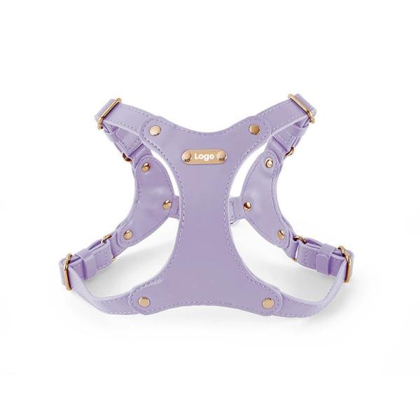 Hot Selling Other Pet Harnesses Pet Dog Leash Training Harness For Dogs