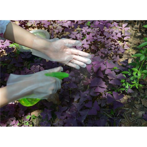 Перчатки TPE толстой кухни латекса свободной устранимые