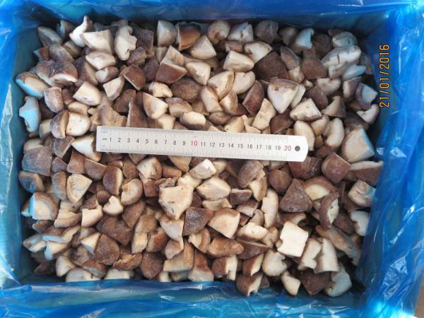 Origin China Hot Selling Iqf Food Mushroom Cultivation Shiitake Mushroom for Frozen Shiitake