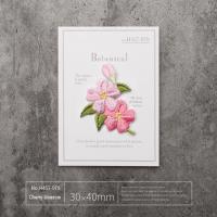 Flor de cerezo de ensueño Parches de hierro Delicada textura de pétalos Ligero Estilo de conservación de la memoria Frontera de corte caliente para zapatos