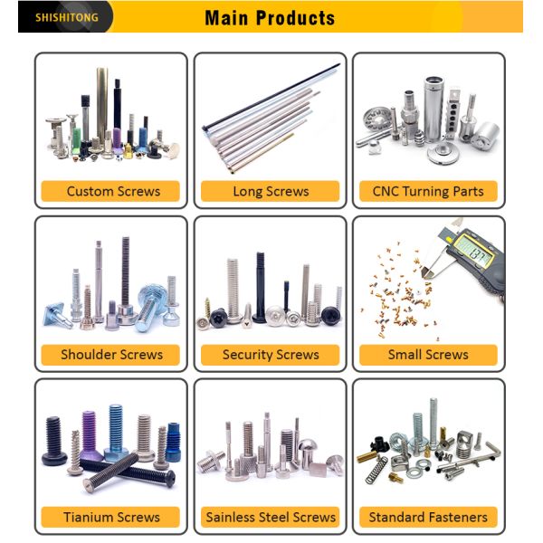 Stainless Steel Black Oxide Torx PT Thread Mini Screw for Plastic