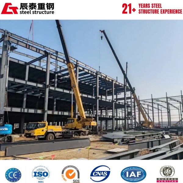 New Model Long Lifespan Wind-Resistant  High-Rise Steel Structure Building
