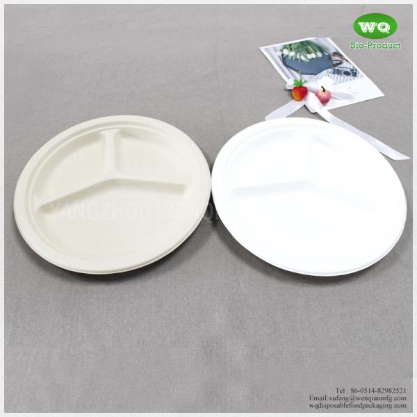 Biodegradable Sugarcane 10 Inch 3-Compartments Plate-HeavyDuty Plate, Natural Disposable Bagasse Plate for Party,Picnic