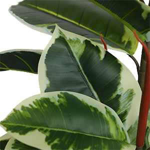 1.3m Potted Oak Tree Bonsai Faux House Plants For Home Decor Artificial Rubber Ficus Greenery Home Sets