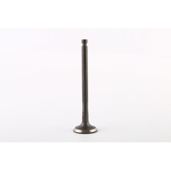 129907-11100 клапан двигателя дизеля для экскаватора 4TNV94/98 двигателя Yanmar