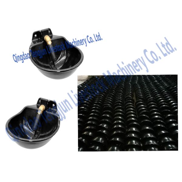 4 Hole Design Horse Water Bowl Durable Enameled Smooth Surface