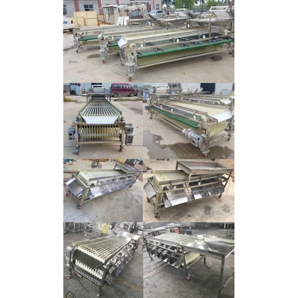 Good Performance Passion Fruit Grading Machine for Fruit Processing Requirements
