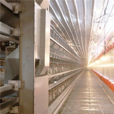Customization H type Galvanized Layer Cages Q235 steel wire