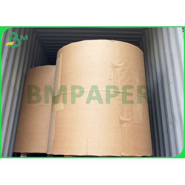 280gsm Poly Coated Cup Paper Material Single Or Double Poly Coating