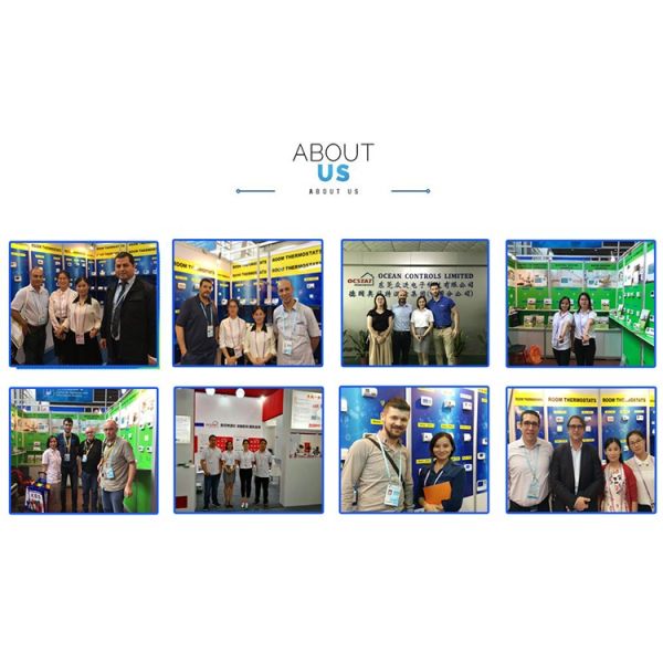 Riseem LCD Непрограммируемые термостаты напольного отопления 6A со смарт-сенсором NTC