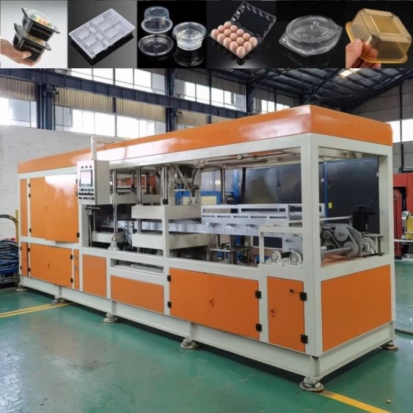 Fully Automatic Three-Station Thermoforming Machine for Plastic Egg Tray Production Zero Risk Guarantee Included