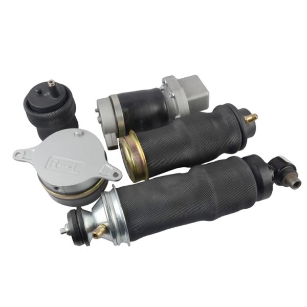 Сверхмощный европейский подвес тележки разделяет на трейлер Ренаулт/резиновая весна воздуха 5010629414 5010130797