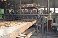 Full Automatic Waste Egg Tray Machine / Egg Pack Box Maker With Aluminum Molds