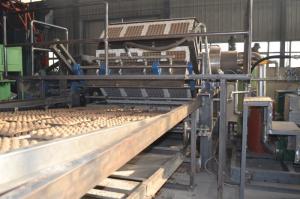Fabricante Waste automático completo da caixa do bloco da máquina/ovo da bandeja