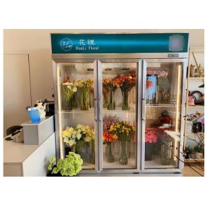 2520L коммерческий вертикальный холодильник продуктовый магазин пиво холодильник охладитель холодильное оборудование