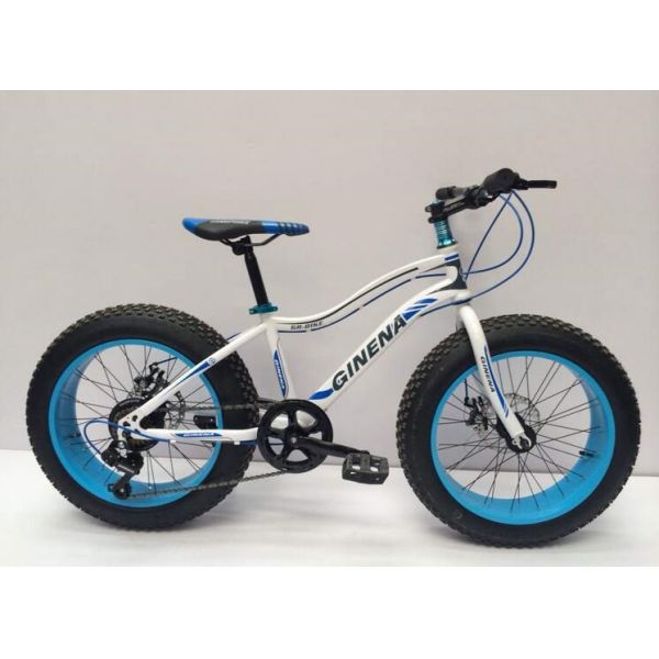 Private Label Snow Sand 4.0 Fat Tyre Electric Bicycle