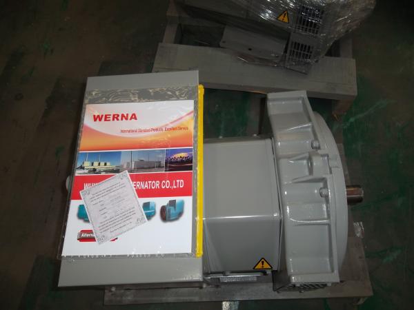 Three Phase Double Bearing Alternator