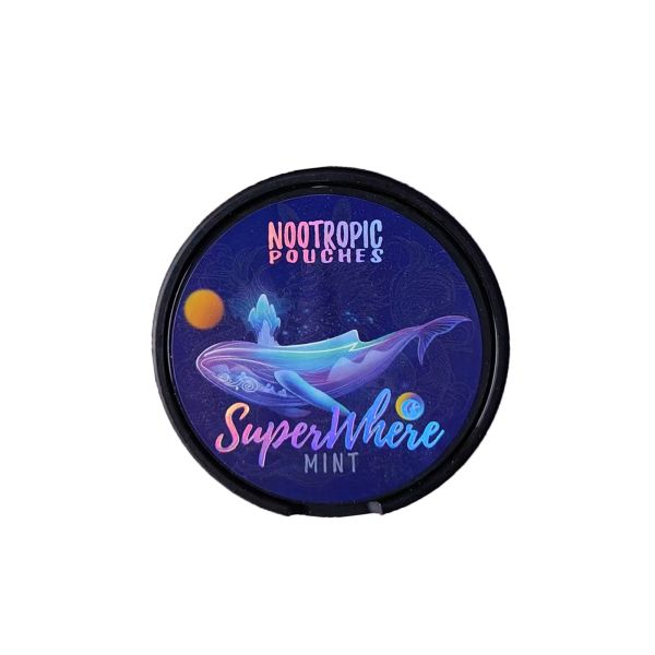 Blueberry Flavor Nootropic Pouches for Energy Providing and Focus Enhance 20pcs/box