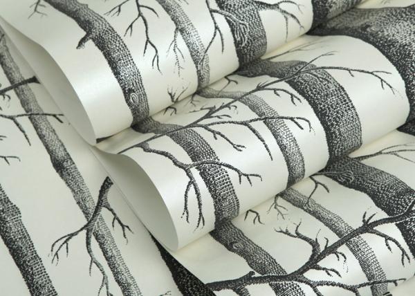 Vantage Birch Tree Modern Removable Wallpaper / Wallpaper for Living Room  0.53*10M