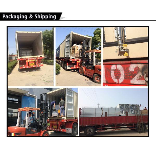 Single Span PE Film Greenhouse TUV Low Cost Poly Tunnel Greenhouse