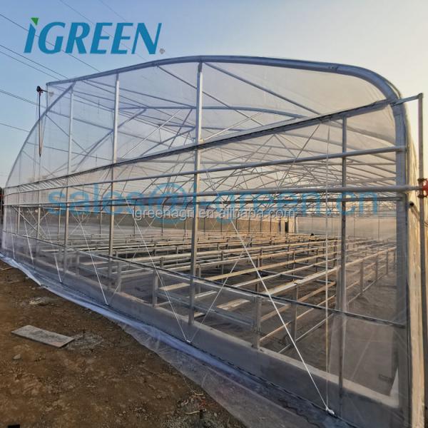 Strong Frame Greenhouse with Hot Dipped Galvanized Steel Structure and Film Cover