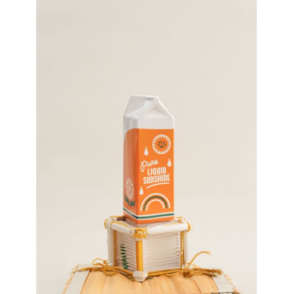 Modern Tabletop Vase for Hydroponic Flower Arrangement in Creative Orange Fruit Design