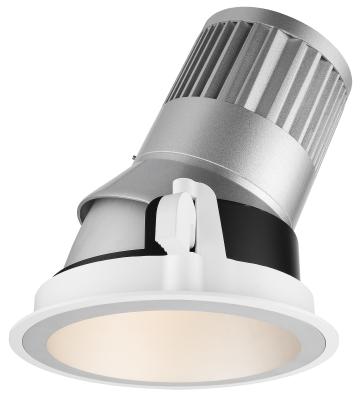 700mA 30W Indoor Wall Washer Lights With Good Heat Dissipation CITIZEN COB LED
