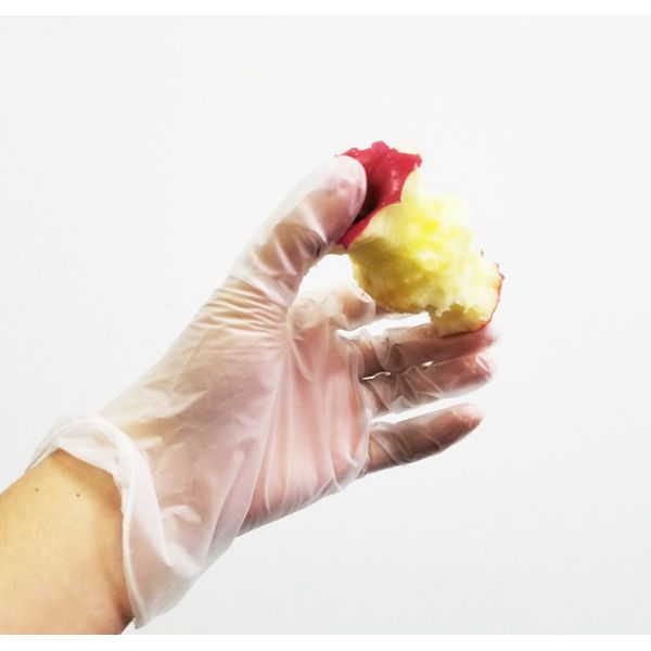 Stretch Powder Free Vinyl Gloves / Odourless Disposable Food Serving Gloves