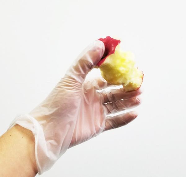 Stretch Powder Free Vinyl Gloves / Odourless Disposable Food Serving Gloves