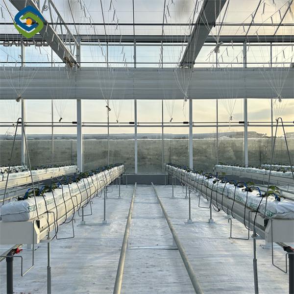 Large Scale Greenhouse Agricultural Green House Stable Structure Easily Assembled