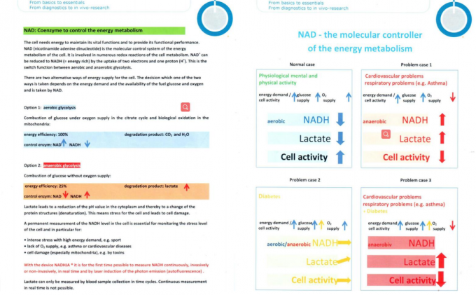 256pcs LED Brain Neurofeedback Therapy Devices For Hospital