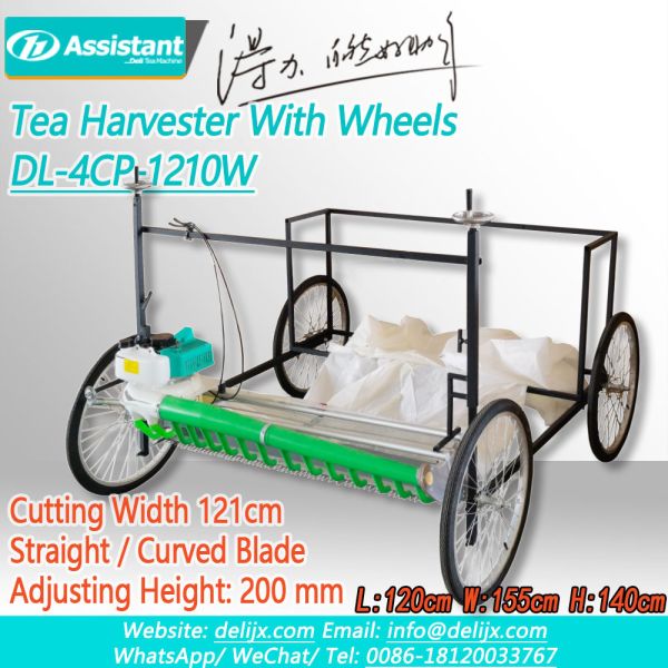 DL-4C-T Tea Production Line Handheld Tea Plucker and Two Man Tea Harvester for Farms