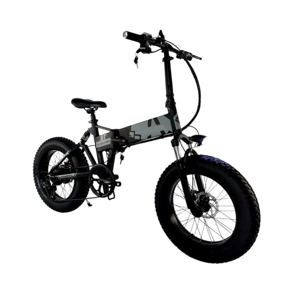 Battery Powered 20 Inch Fat Tire Electric Bike