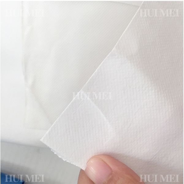 PP Spunbond Non Woven Fabric Width 50cm Eco Friendly